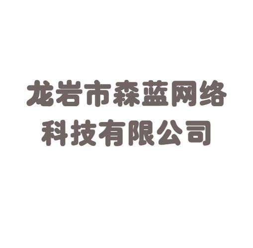 構筑數字防線 龍巖市森藍網絡科技在網絡與信息安全軟件領域的深耕與實踐